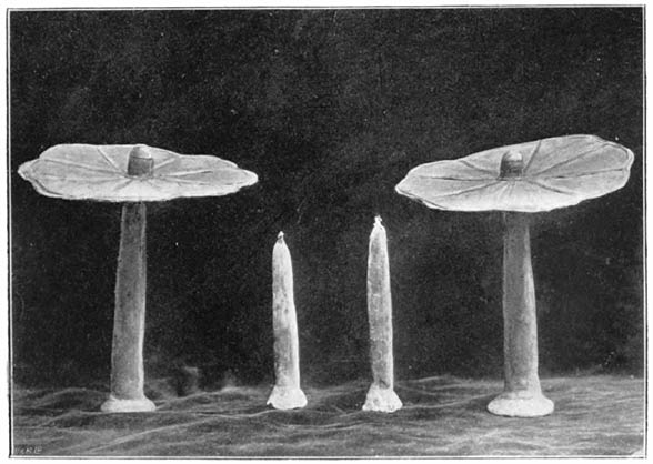 Fig. 2. Spirit Umbrellas and Tapers.