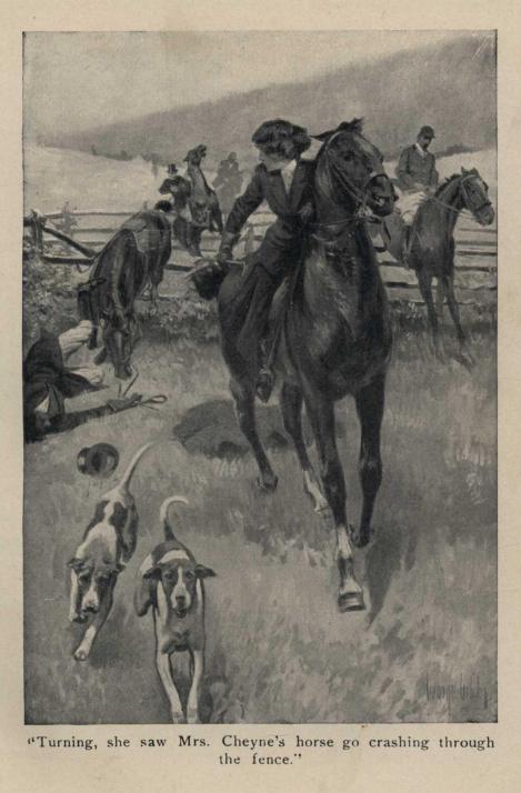 "Turning, she saw Mrs. Cheyne's horse go crashing through the fence."