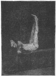 Exercise No. 9.—Reclining, hands grasping something back
of head, raising both feet to vertical position.
