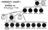 HEREDITY CHART OF EMMA W.