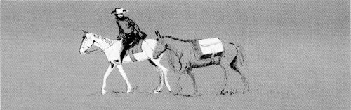 Sketch of horseman and pack animal.