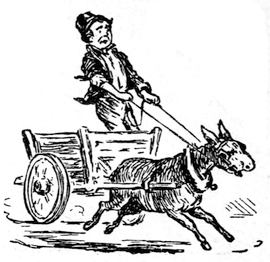 Donkey galloping, cart now empty