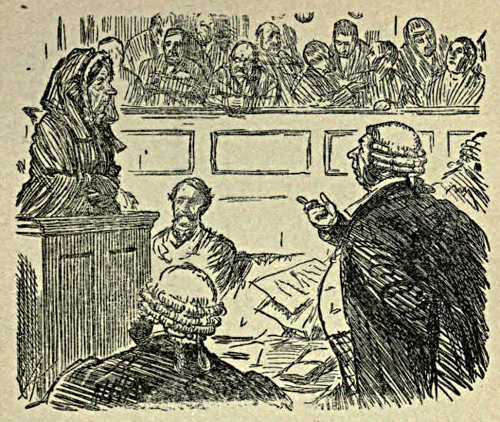 Woman in the witness box