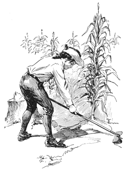 man using hoe in corn field