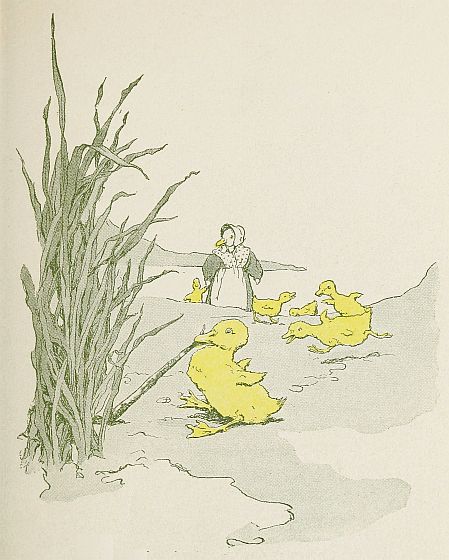 Duckling pulling on grass