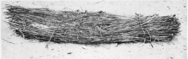 Image not available: 3. Reed Burial of a Man