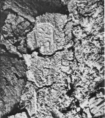 Image not available: 1. Seal Impressions on Doorway of Chamber A