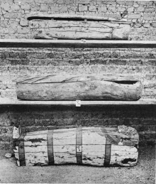 Image not available: 2. Plain Anthropoid, ‘Dug-out’ and Semi-decorated
Anthropoid Coffins