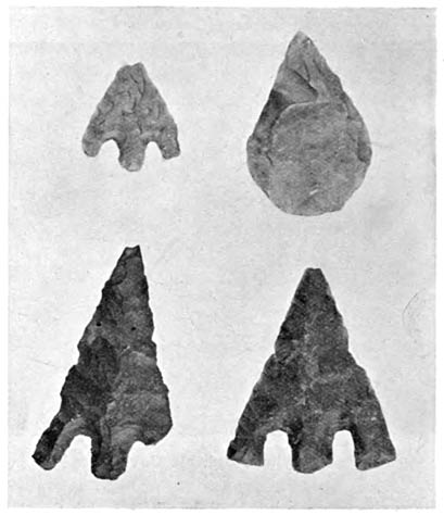 Flint Implements of the Neolithic Period found in Berkshire