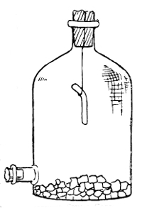 Suspended Spinal Cord In drying jar containing Calcium Chloride