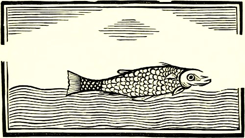A Herring swimming in the Sea