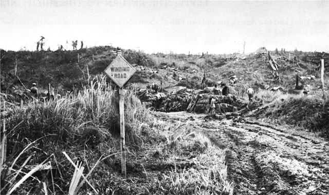 U.S. AND JAPANESE TANKS. Camouflaged U.S. tanks are shown (above) on Highway 2, between Limon and Lonoy. Burning Japanese tanks (below) are checked by 127th Infantry troops north of Lonoy.