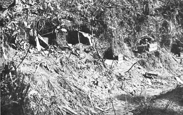JAPANESE DUG-IN POSITIONS ALONG HIGHWAY BANKS delayed the advance of the 77th Division north of Ormoc.