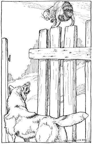 wolf talking to cat on fencetop
