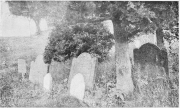 TOMBSTONES OF REV. JOHN WILLIAMS AND HIS WIFE.