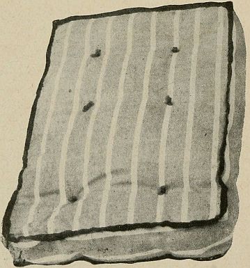photo of little striped mattress