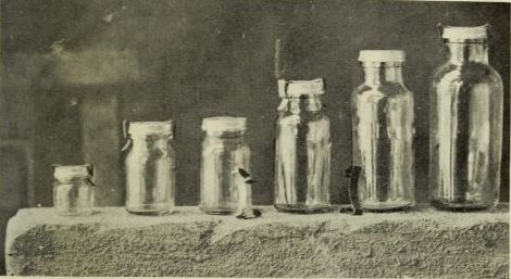photograph: row of jars from half pint up