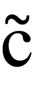 LATIN SMALL LETTER
 C WITH TILDE
