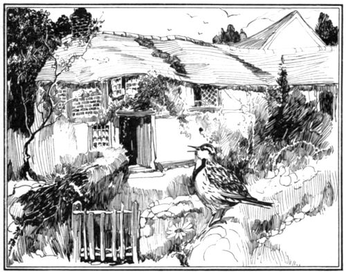 Cottage, lark on fence
