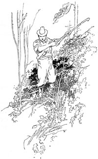 man working in garden