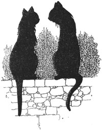 two cats sitting on a wall