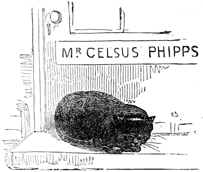 MR. CELSUS PHIPPS