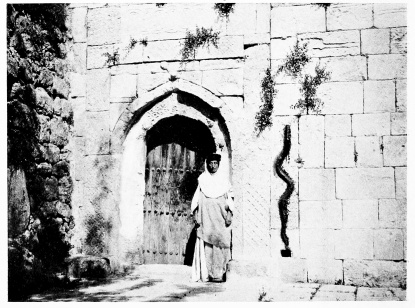 Fig. 178.—THE KHÂTÛN AT THE DOOR OF SHEIKH ’ADÎ.
