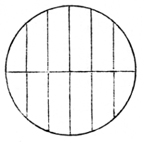 figure: equidistant wires in an eye-piece