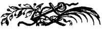 An anchor (decorative footer)