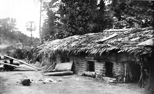 PAPUAN HOUSES ON THE MIMIKA.