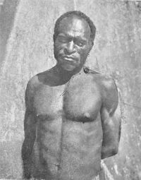 A PAPUAN OF THE MIMIKA.