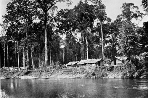 CAMP OF THE EXPEDITION AT PARIMAU.