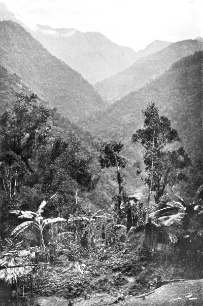 MOUNT TAPIRO, FROM THE VILLAGE OF THE PYGMIES.