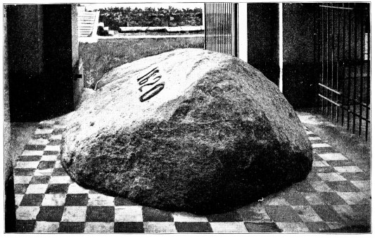 Image unavailable: THE FAMOUS PLYMOUTH ROCK, UPON WHICH THE PILGRIMS FIRST LANDED.
NOW SACREDLY GUARDED AS A SHRINE OF LIBERTY.