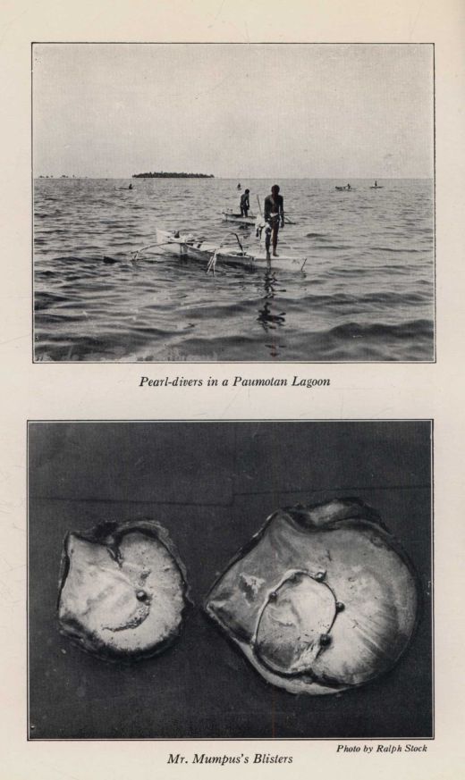 What kind of life did pearl divers live?