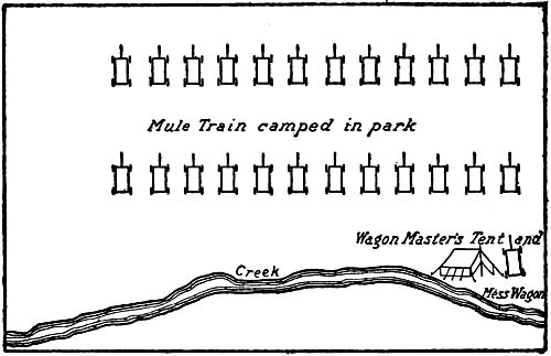 Mule Train camped in park