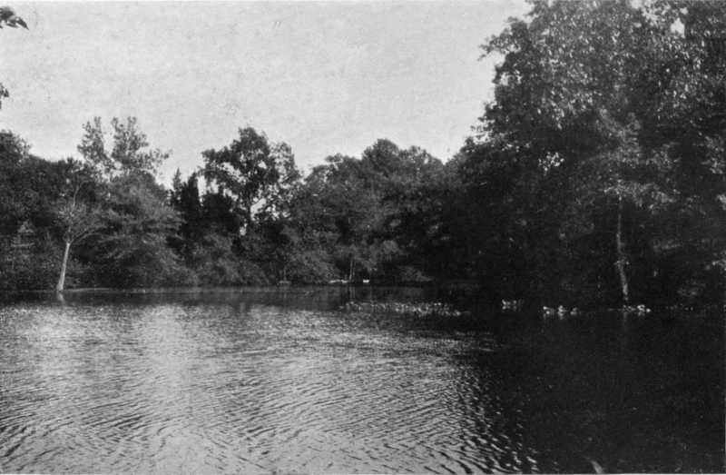 Picture of the Timber Creek pool in 1904.