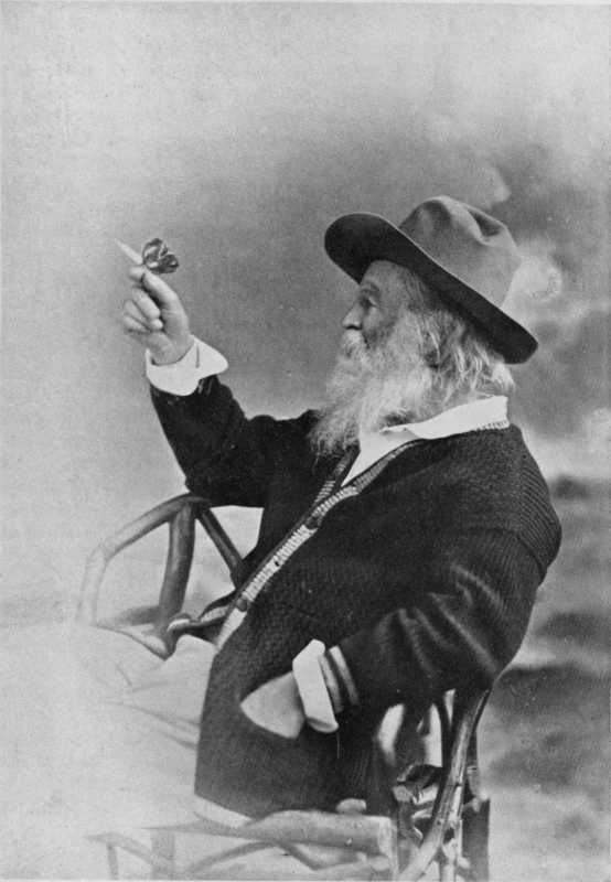 Picture of Whitman at sixty-two.