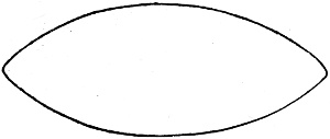 Fig. 343.
