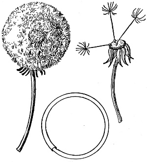 i_182-fig375-376-377.jpg Fig. 375. Fig. 377.