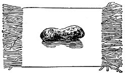 Fig. 543.