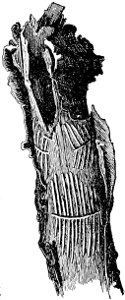 Fig. 620