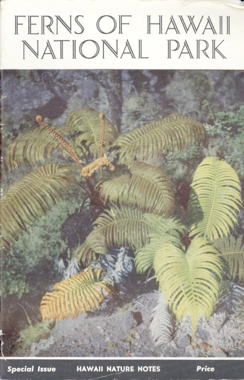 Ferns of Hawaii National Park