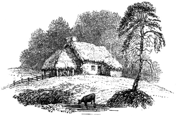 Purkiss's cottage, New Forest