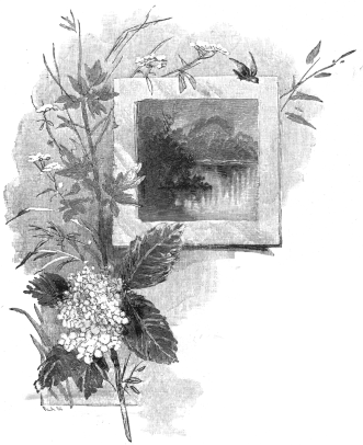 Flowers around a picture frame