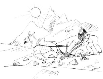 Illustration: Man with ox and plow, tilling a rocky field.