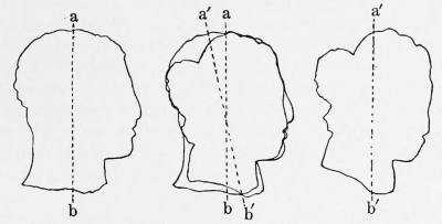 Profile Drawings of the Heads of the Agias.