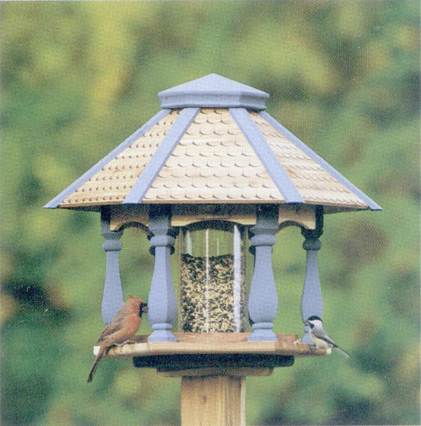 Covered tray feeder