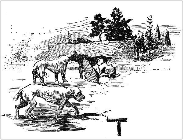 Illustration: IT BECAME THE UNIVERSAL THING FOR DOGS TO BE HUNGRY AND COATLESS AND TO GO ABOUT WEARY, LANGUID AND SORE DISTRESSED - ILLUSTRATED LETTER ‘T’.