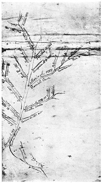 Family tree made by Rizal when in Dapitan.